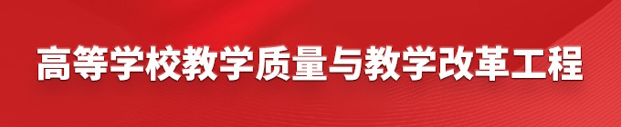 高等学校教学质量与教学改革工程